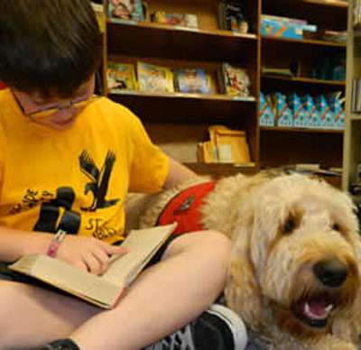 R.E.A.D Therapy Dog Gibbs in TX