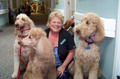 Rebecca with therapy dogs