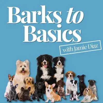 Barks to Basics Interview with Lauren from Moss Creek Goldendoodles